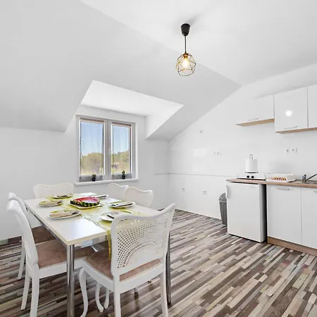 Cozy In Dragisici With Wifi 아파트 *