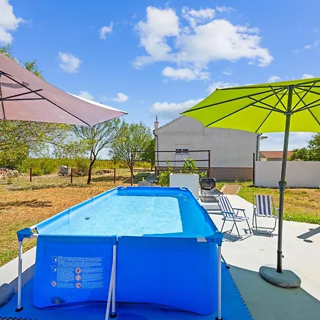 Cozy In Dragisici With Wifi 아파트