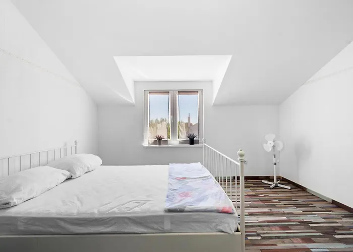 Cozy In Dragisici With Wifi Lejlighed